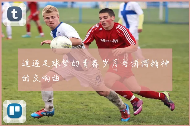 追逐足球梦的青春岁月与拼搏精神的交响曲