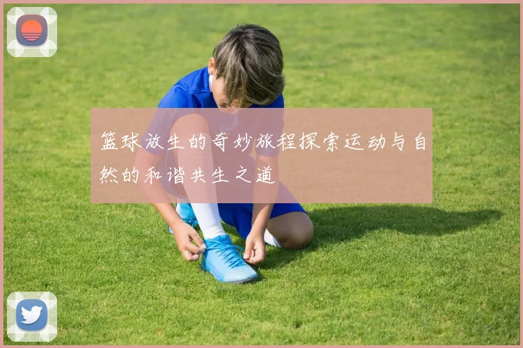 篮球放生的奇妙旅程探索运动与自然的和谐共生之道